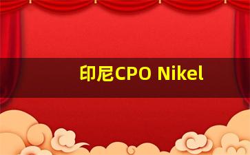 印尼CPO Nikel